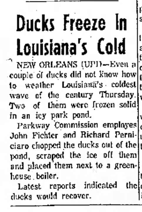 1962 Cold "Ducks Freeze in Louisiana's Cold" - Tom Malmay