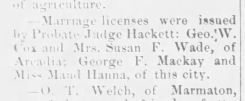 Marriage License for George M. Cox and Susan F. Wade