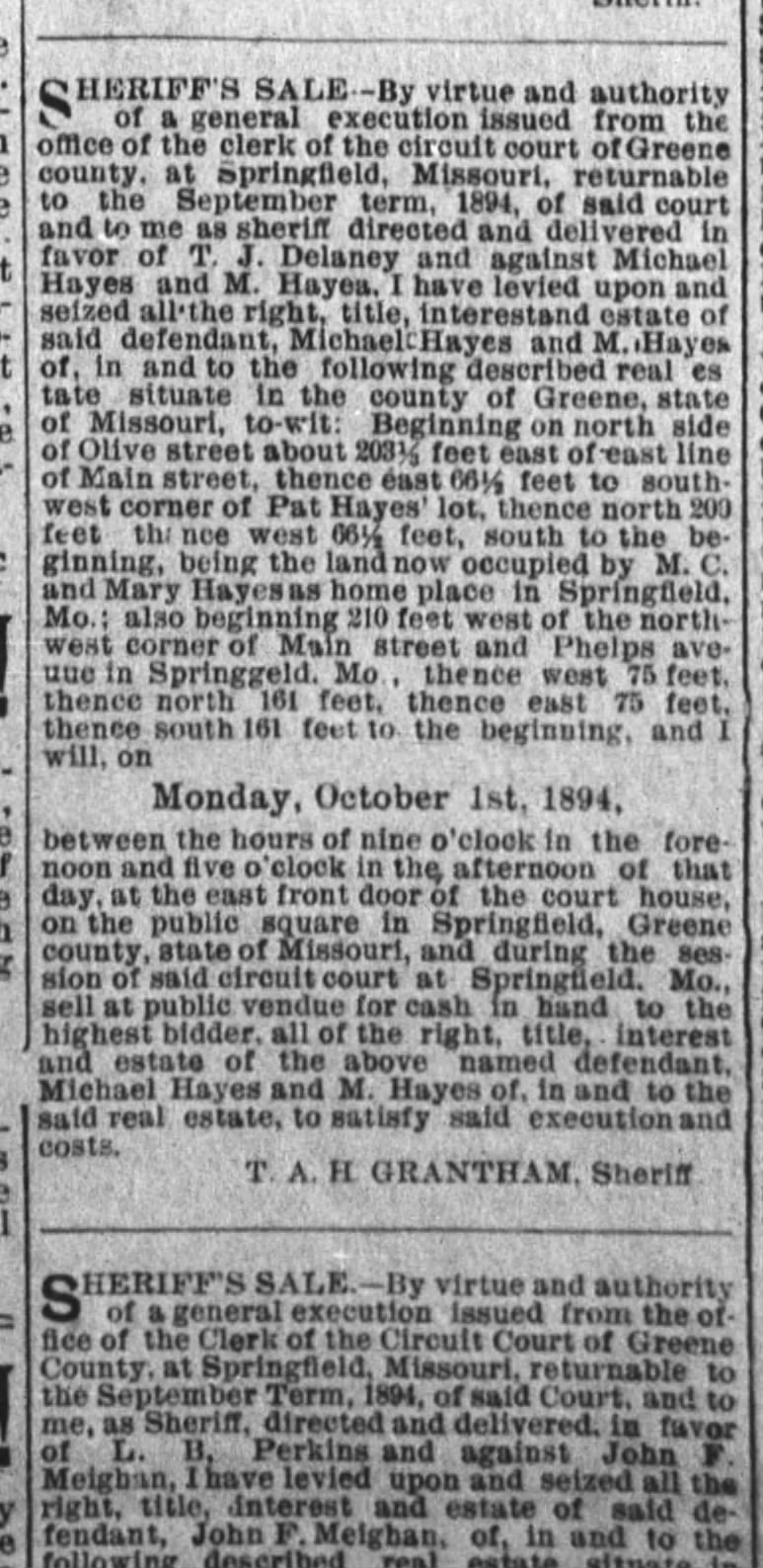 Michael Hayes/sheriff's sale in Springfield Leader 8 Sept 1894 pg 5
