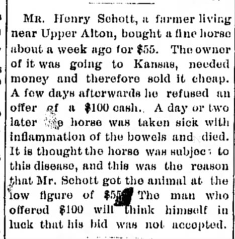 schott_henry_sr_horse_purchase_1890