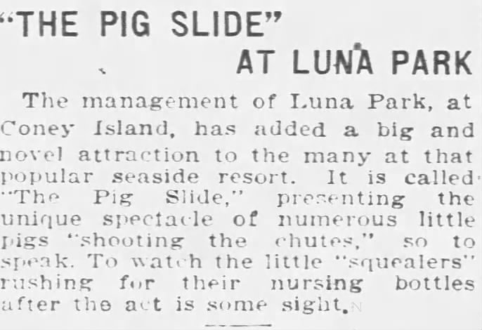 'The Pig Slide' at Luna Park