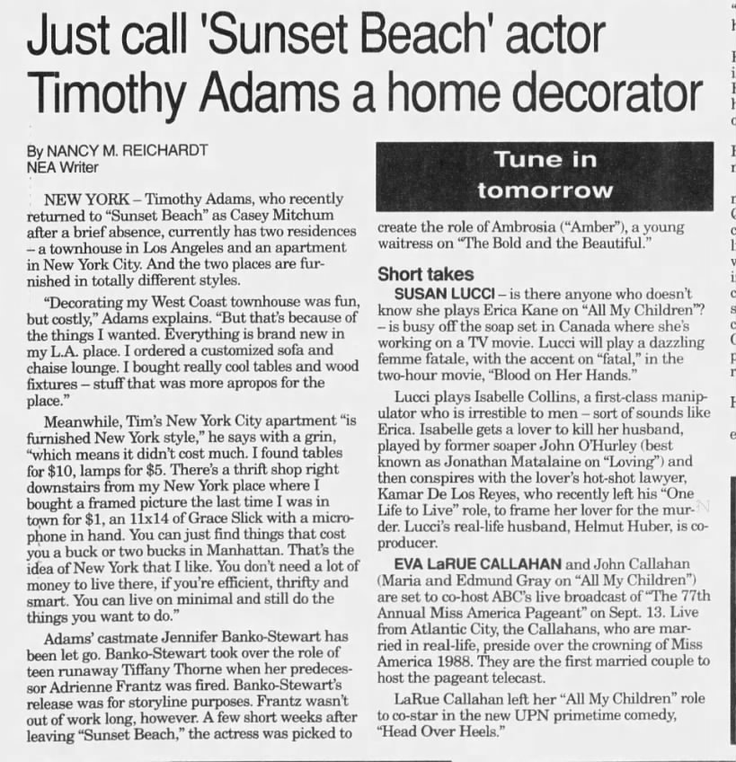 Just call 'Sunset Beach' actor Timothy Adams a home decorator