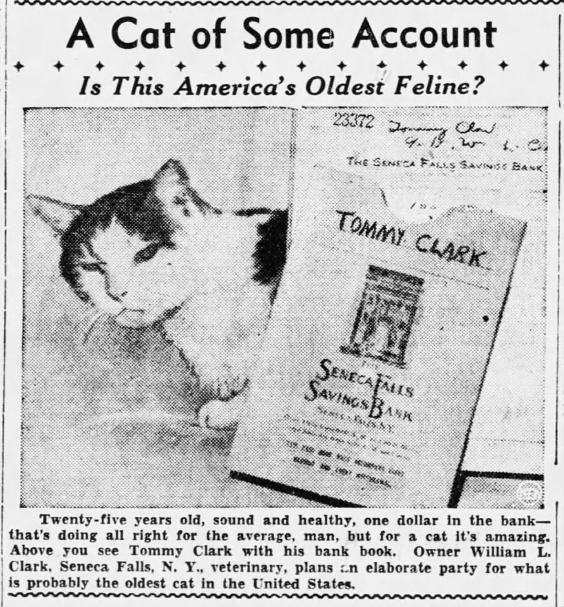 "A Cat of Some Account; Is This America's Oldest Feline?"