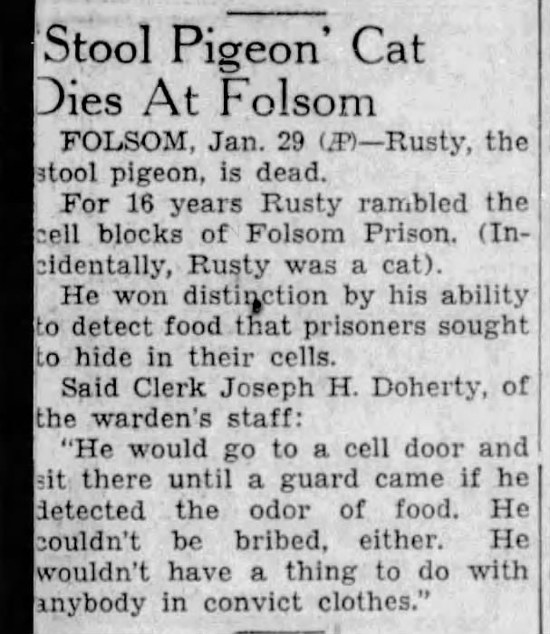 1938 obituary for Rusty, the "stool pigeon cat"
