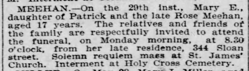 Mary E Meehan 17
day of Patrick and late Rose Meehan
344 Sloan St 
Dec 29 1895