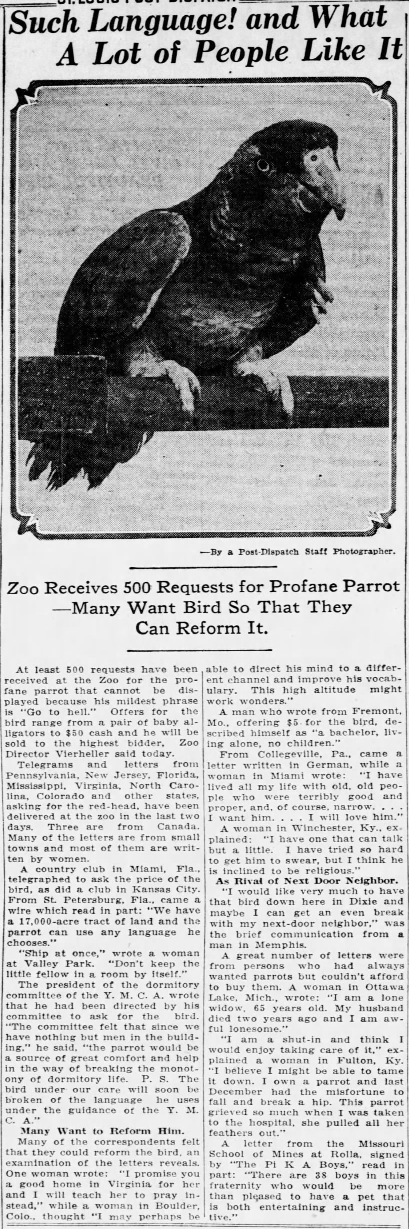 1930: The Zoo's profane parrot