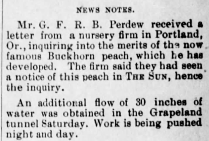 18 Sep 1894-famous Buckhorn Peach variety developed by GFRB Perdew-The Daily Sun SBdnoCA