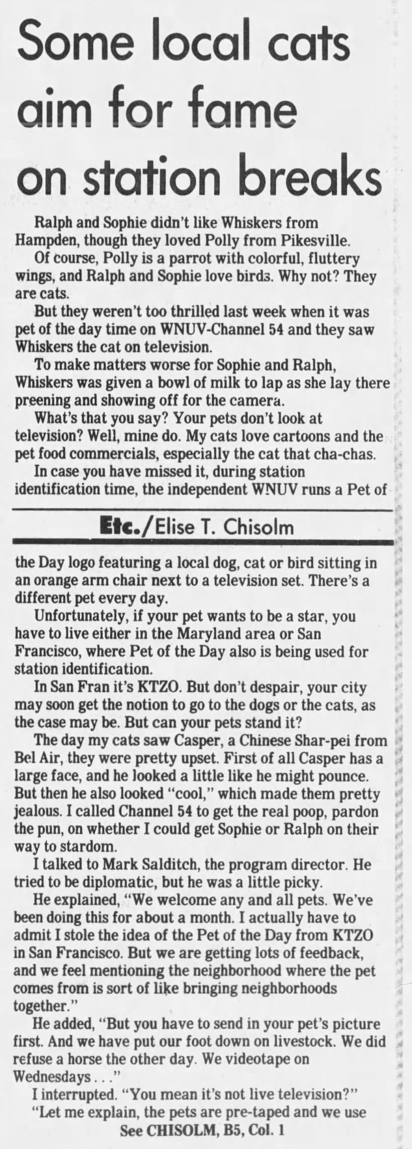 Some local cats aim for fame on station breaks