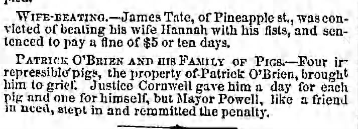 http://www.newspapers.com/image/50362042/?terms=wife-beating#
5, Jan 1861