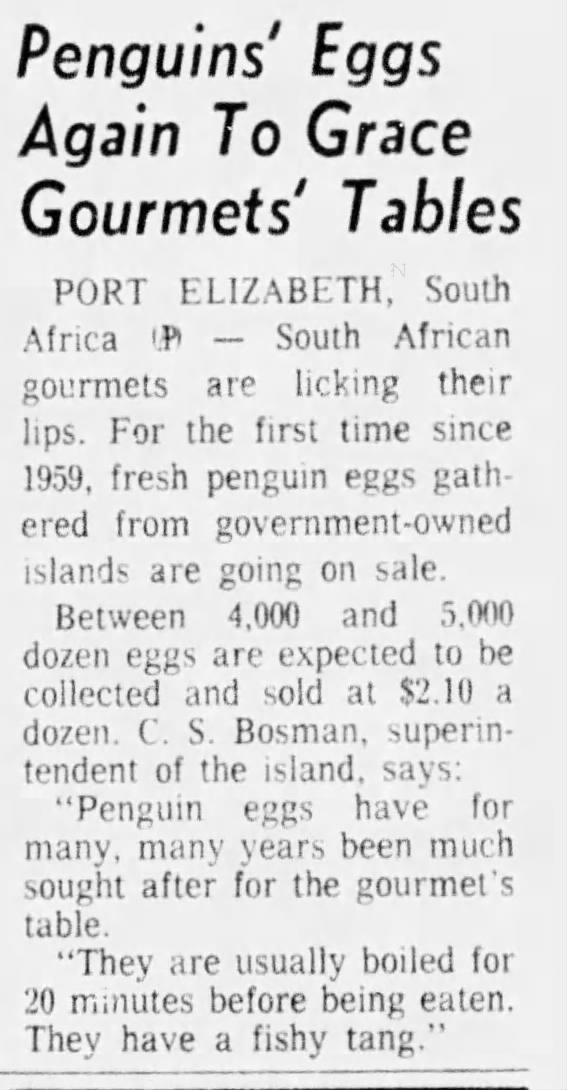 Penguins' Eggs Again To Grace Gourmets' Tables (1965)