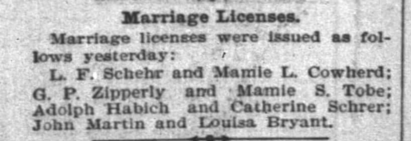LF Schehr & Mamie Cowherd Adolph Habich & Catherine Schehr  Marriage Licenses