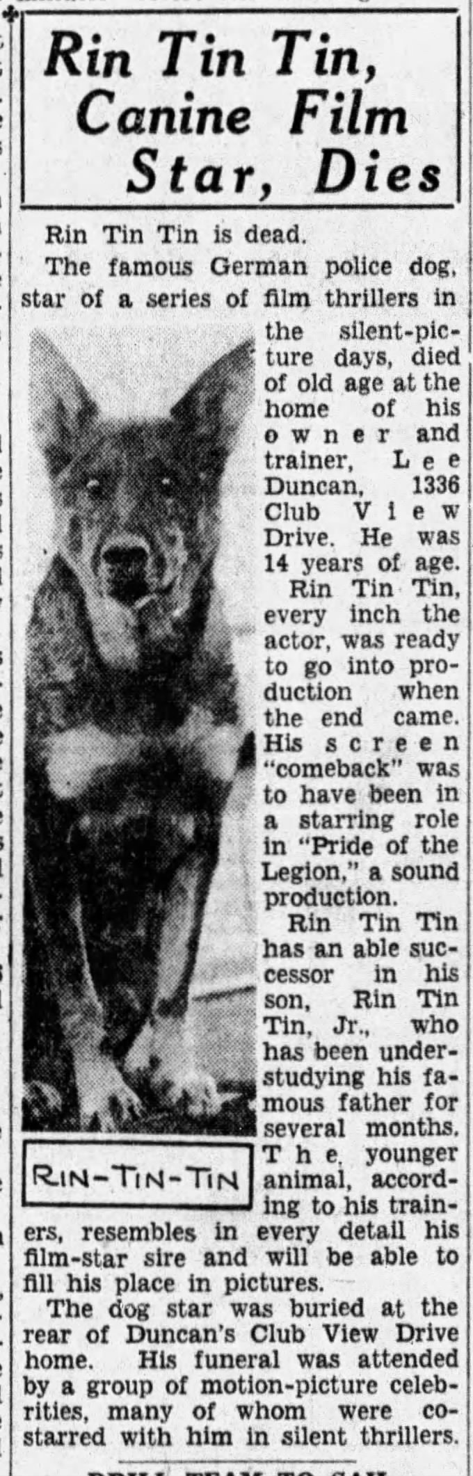Death announcement for Rin Tin Tin Senior.
