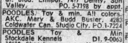 Movie actor Budd Buster and his wife Mary are selling AKC registered Toy Poodles.