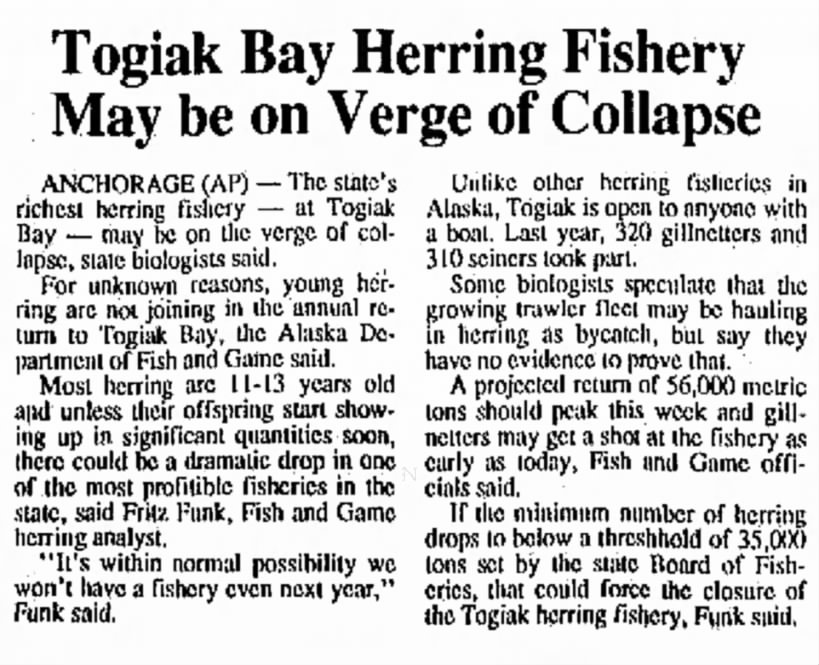 Togiak Bay Herring Fisher May be on Verge of Collapse
