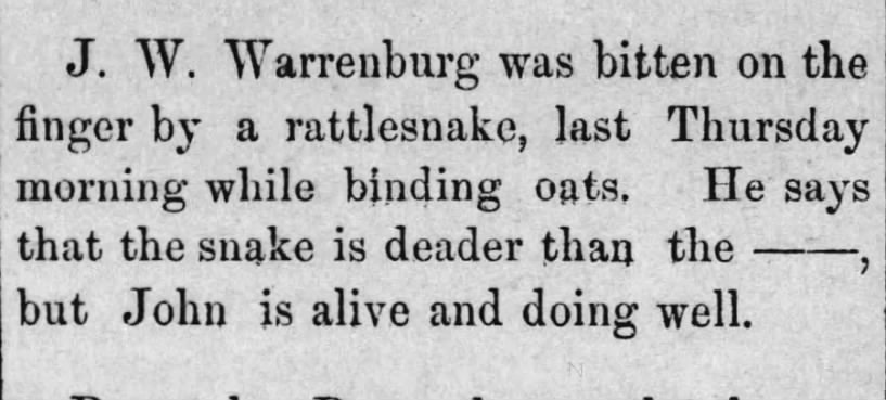 J W Warrenburg Bitten by Rattlesnake - July 1884, Centralia, Kansas
