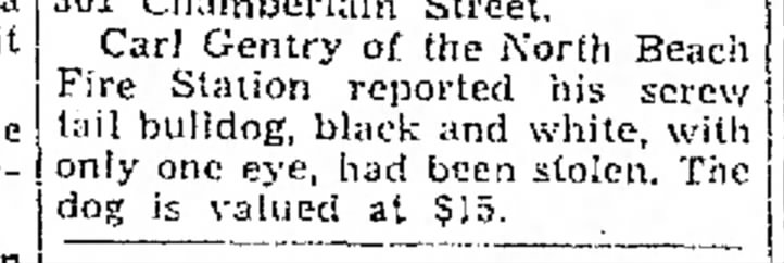 Carl Gentry's bulldog stolen 15 April 1940 - Police Reports