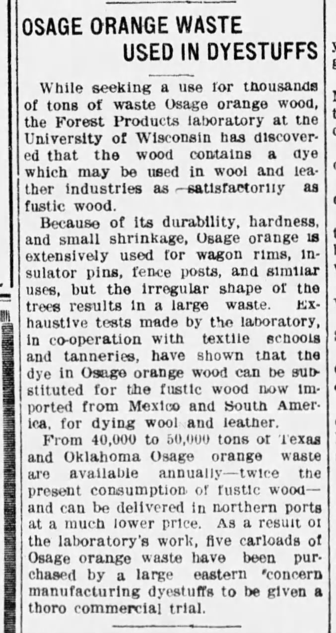 Osage Orange Waste Used as Dye