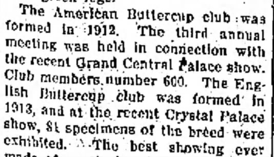 American Buttercup Club 1912, 600 members in 1914; English Buttercup Club 1913