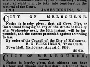 Livestock not allowed in the streets; Australia 1859