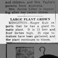 Daily Chronicle, 27 Sep 1954, p. 3