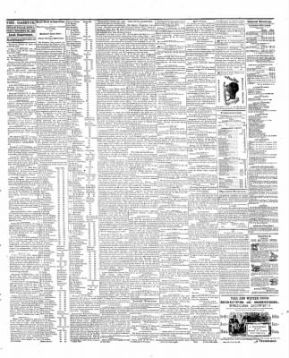 Cedar Falls Gazette from Cedar Falls, Iowa on November 26, 1869 · Page 3