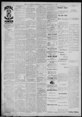 The Hazleton Sentinel from Hazleton, Pennsylvania on September 23, 1885 · Page 4