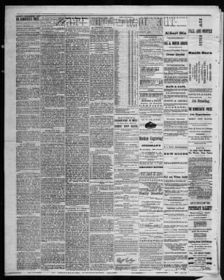 The Democratic Press From Ravenna Ohio On December 5 1872 Page 2