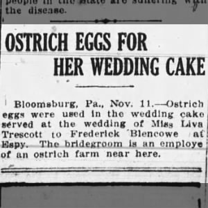 Ostrich eggs in wedding cake