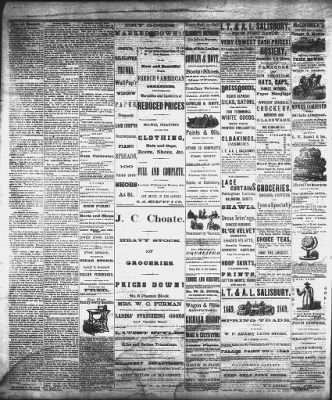 The Woodstock Sentinel from Woodstock, Illinois on August 26, 1869 · Page 4