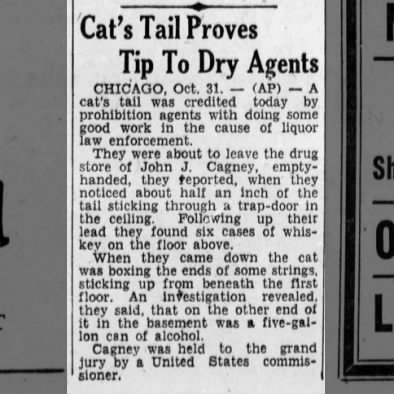 Cat's Tail Proves Tip To Dry Agents