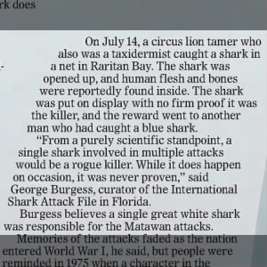 Was the shark caught?