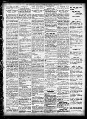 The Buffalo Commercial from Buffalo, New York on April 13, 1891 · 19