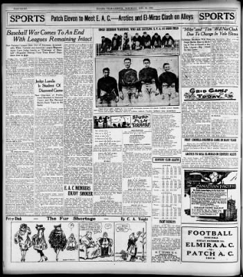 Star-Gazette from Elmira, New York on November 13, 1920 · 8