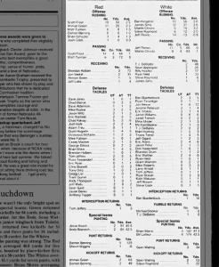 1996 Nebraska spring game stats