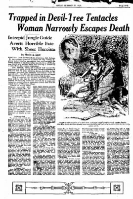 Abilene Reporter-News from Abilene, Texas on December 25, 1927 · Page 38
