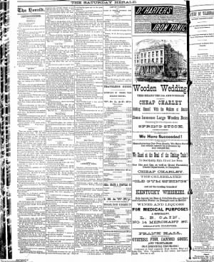 The Herald-Despatch from Decatur, Illinois • Page 6