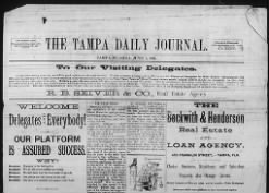 Tampa Daily Journal