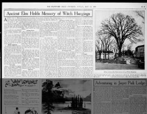 Rebecca Greensmith, Witch, hanging Elm Tree article