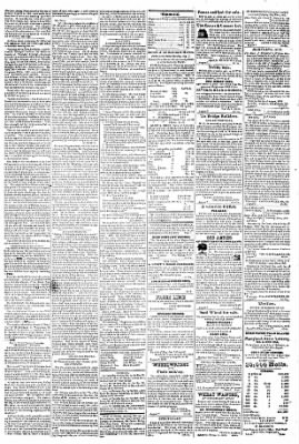 The Torch Light And Public Advertiser from Hagerstown, Maryland • Page 4