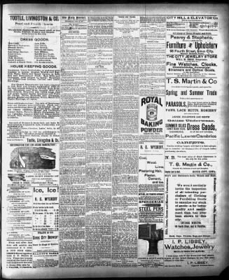 Sioux City Journal from Sioux City, Iowa on May 18, 1881 · 3