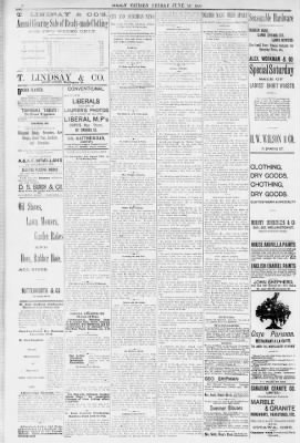Ottawa Daily Citizen from Ottawa, Ontario, Canada on June 23, 1893 · 8
