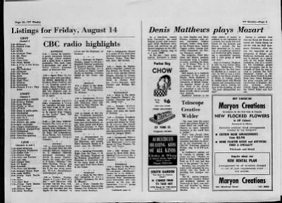 The Ottawa Citizen from Ottawa, Ontario, Canada on August 7, 1964 · 45