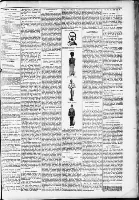 The Washington Bee from Washington, District of Columbia on June 4, 1887 · Page 3