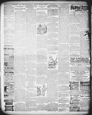 The Douglas County Herald from Ava, Missouri on October 4, 1894 · 4