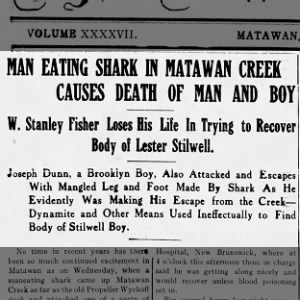 Matawan Creek shark attacks of 1916