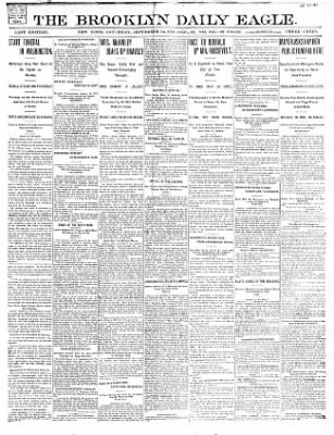 The Brooklyn Daily Eagle from Brooklyn, New York on September 14, 1901 · Page 1