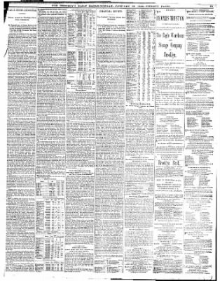 The Brooklyn Daily Eagle from Brooklyn, New York on January 29, 1893 · Page 19