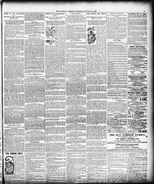The Evening World from New York, New York • Page 3