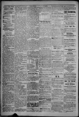 The Daily News from Lebanon, Pennsylvania on November 24, 1876 · 4