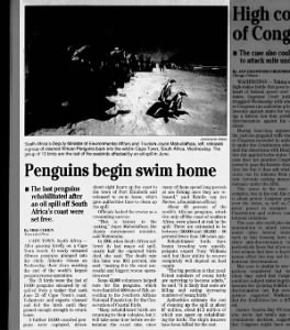 Penguins begin swim home (Treasure, 2000)